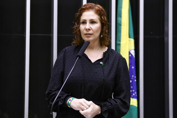 Vinicius Loures/Câmara dos Deputados